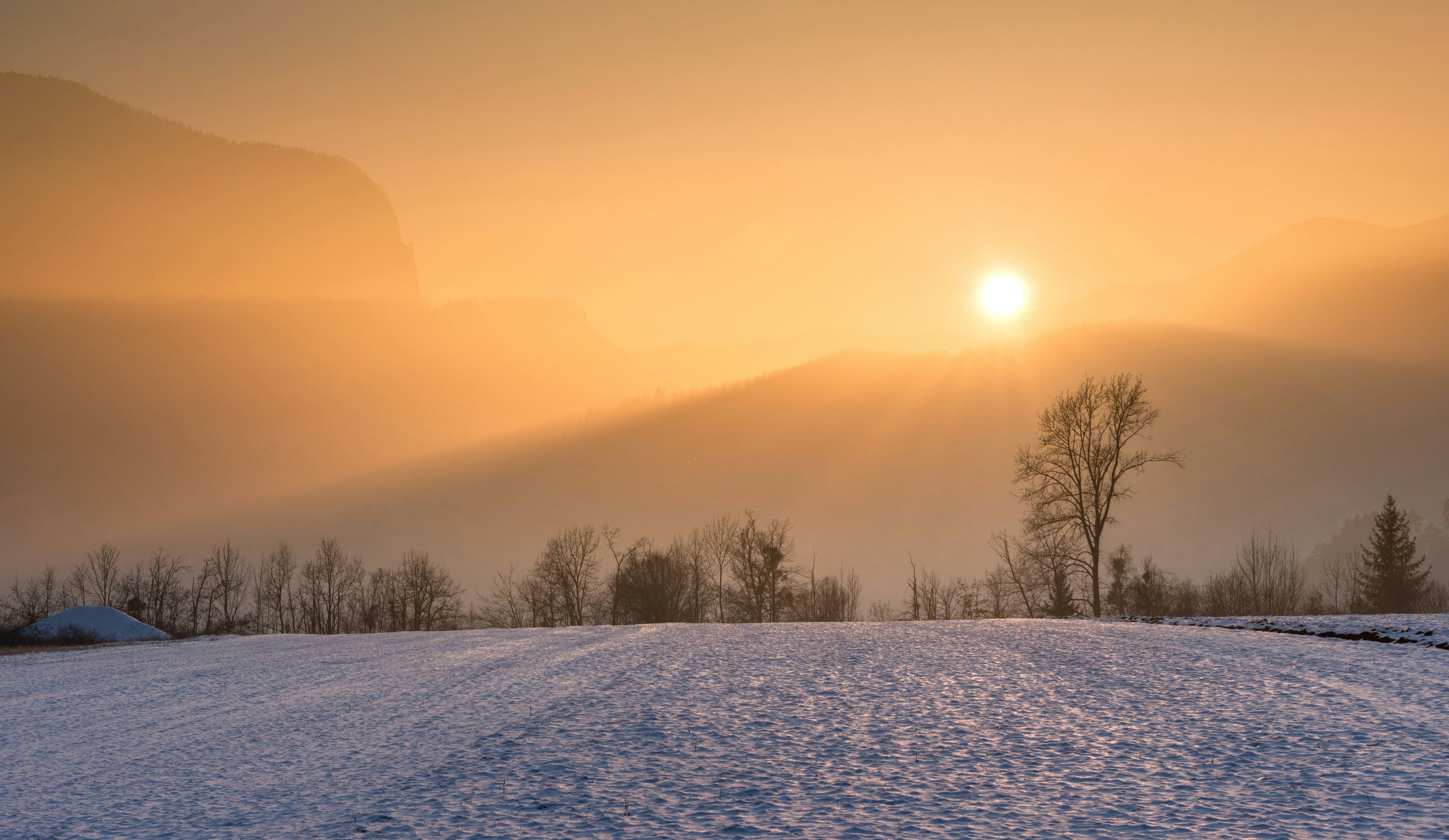Winter snow vs. winter sun: which one is calling you?