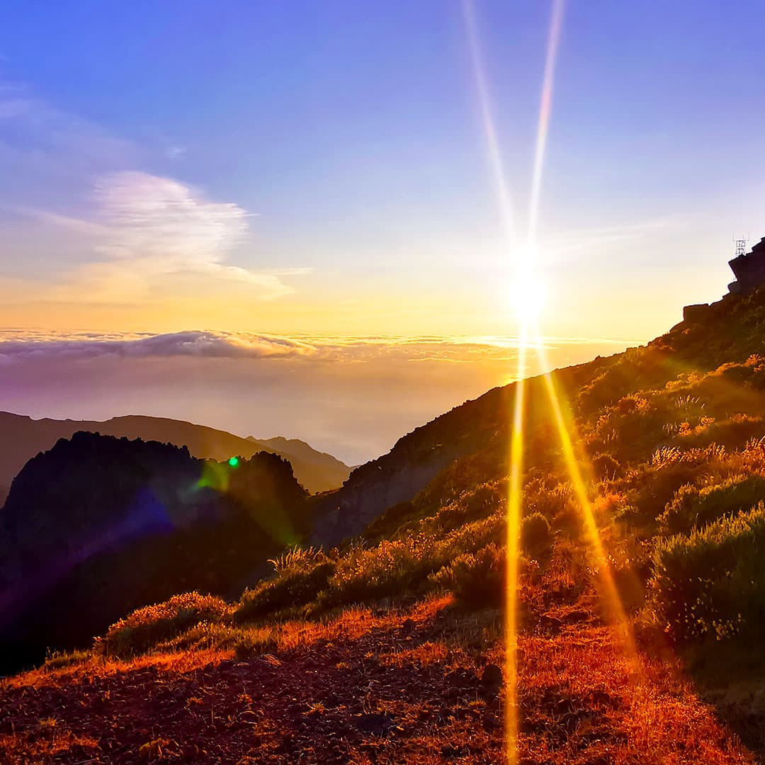 6 must-do's in Madeira🐬