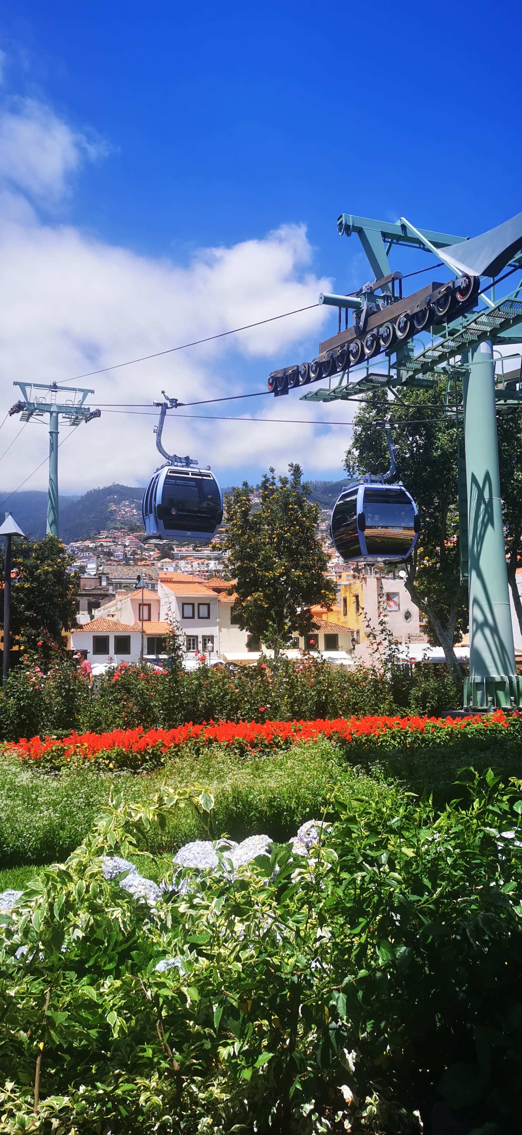 5 must-sees in Funchal, Madeira