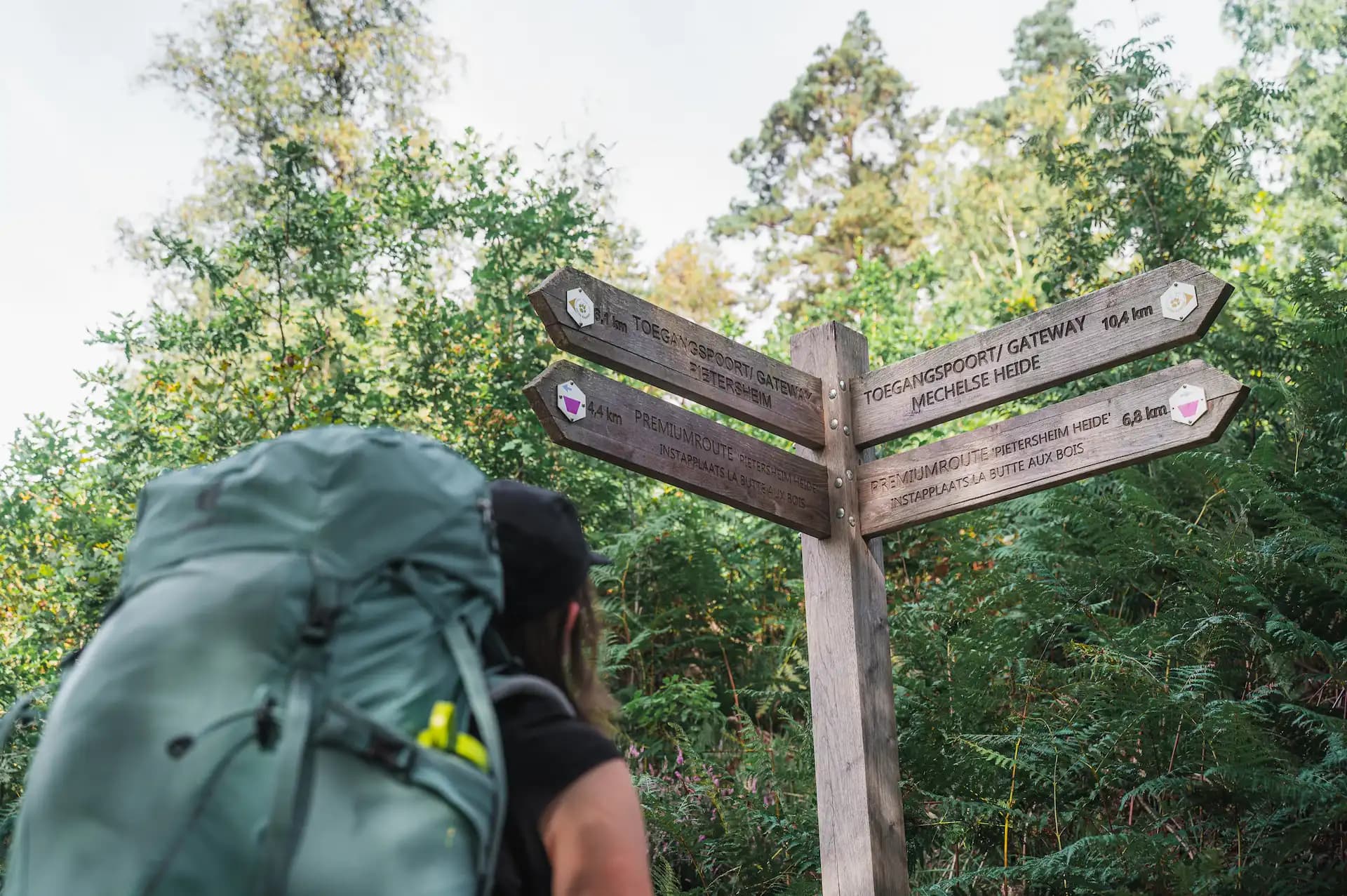 Nationaal Park Hoge Kempen Trail