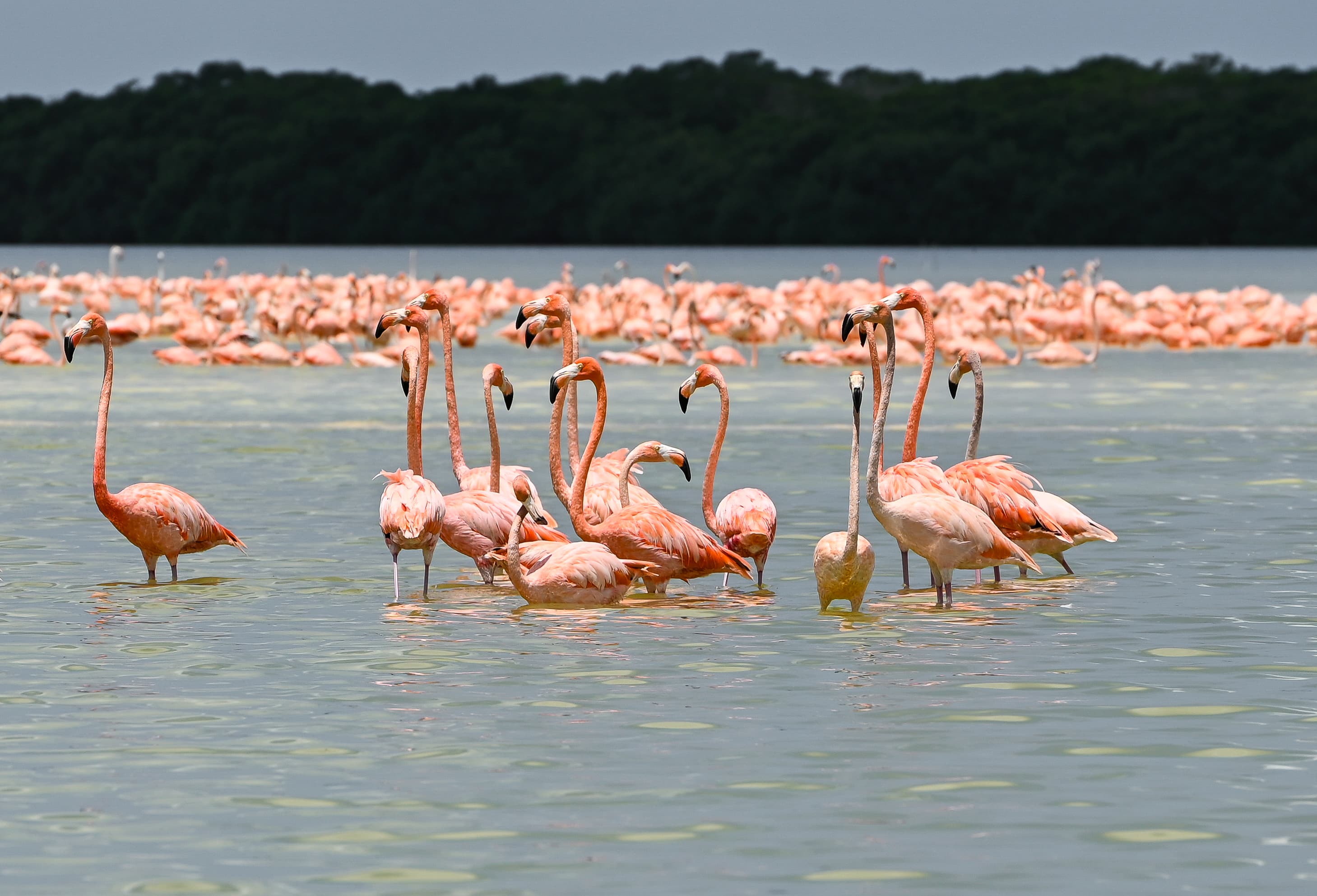 Itinerary Mexico - 4 weeks