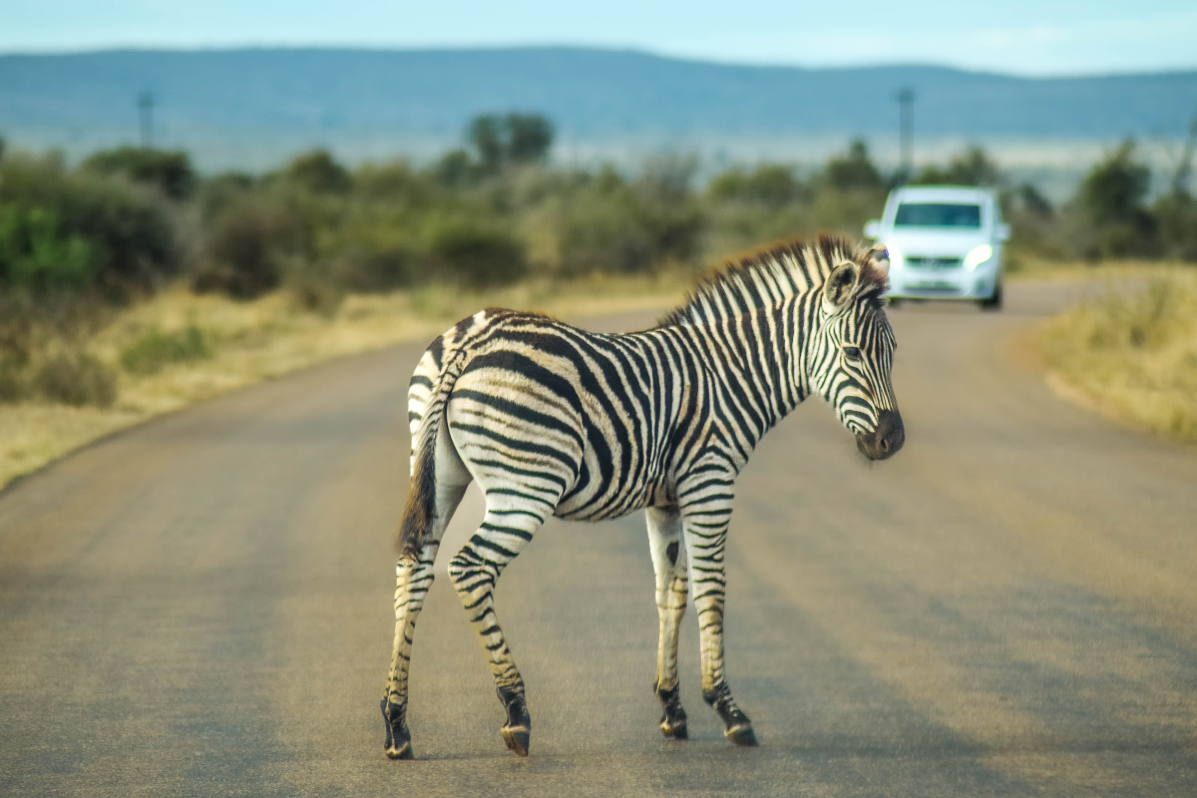 Itinerary South Africa - 3 weeks
