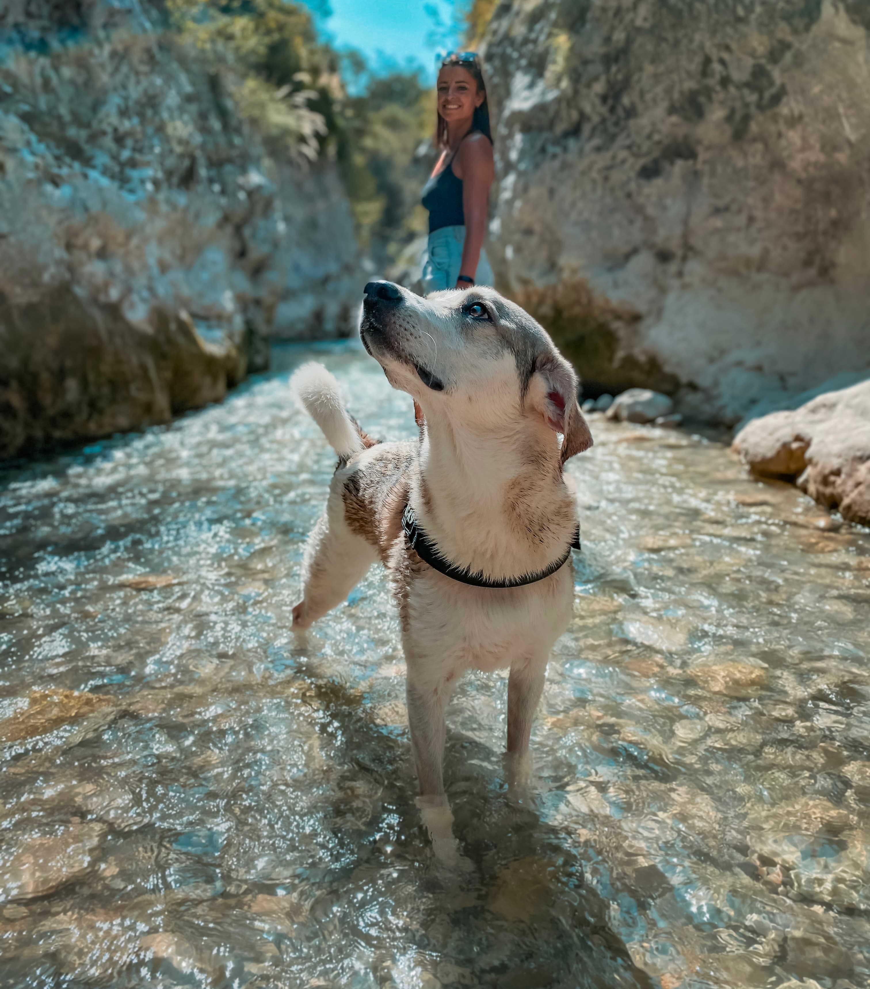 Gorges de Toulourenc - Stunning, refreshing & dog-friendly hike in the Provence