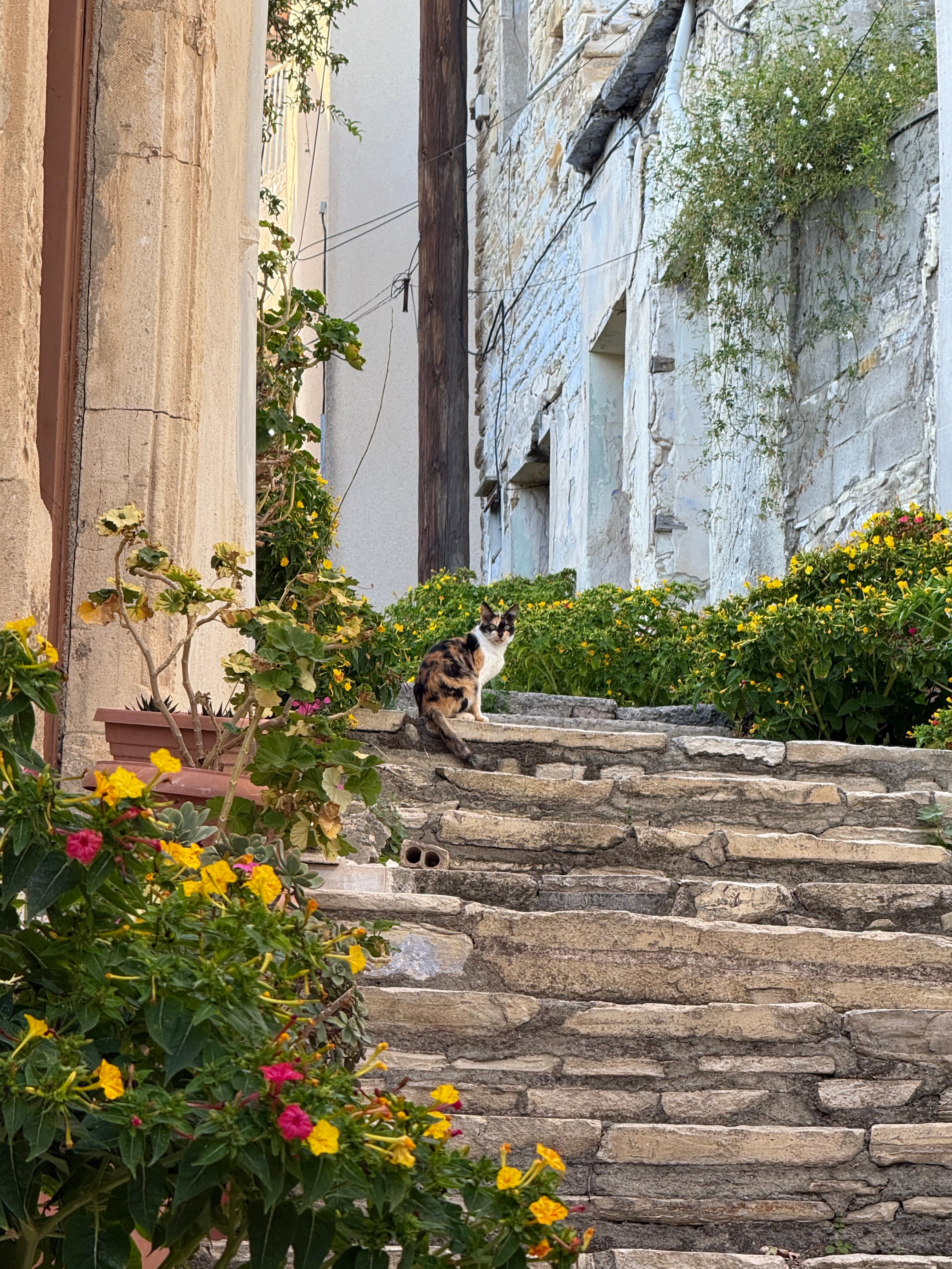 5 days in Cyprus: ultimate travel guide about this beautiful island and best spots!