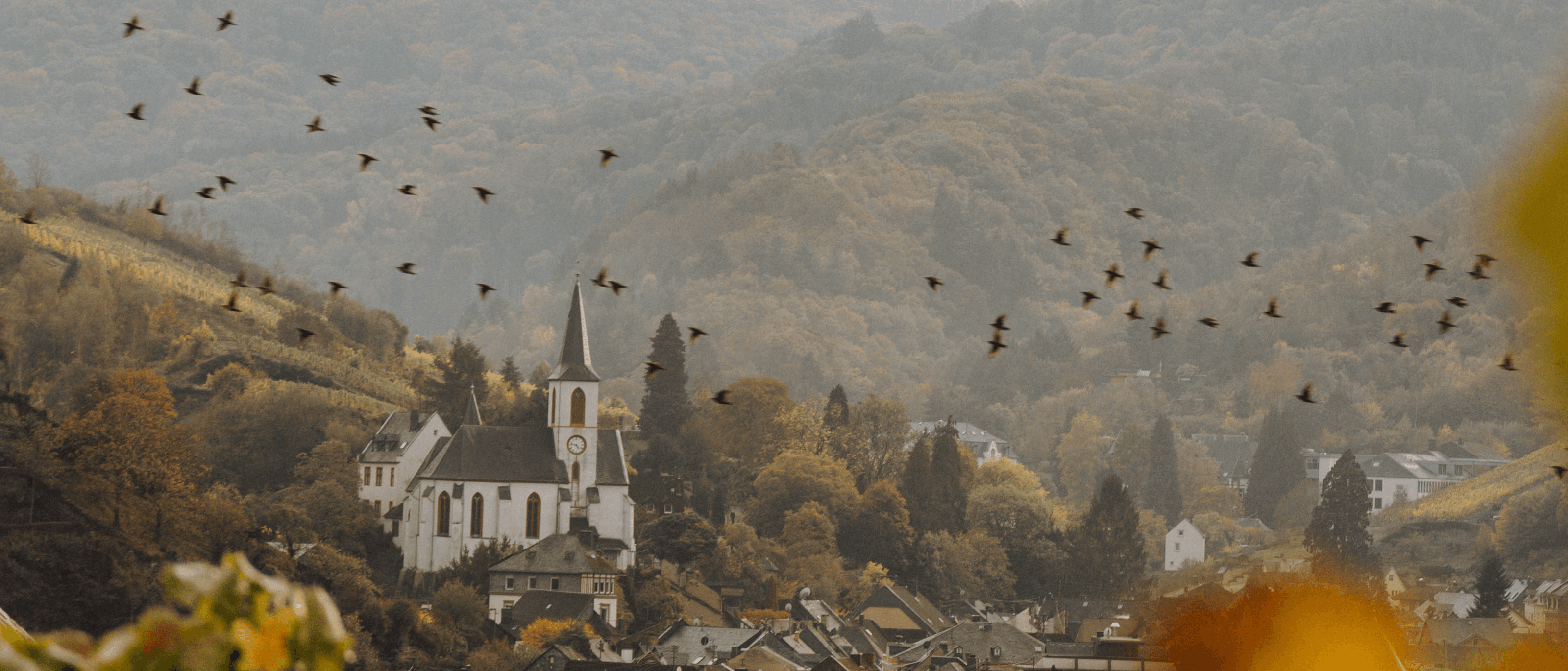 De Moezel: mini-break voor naturelovers