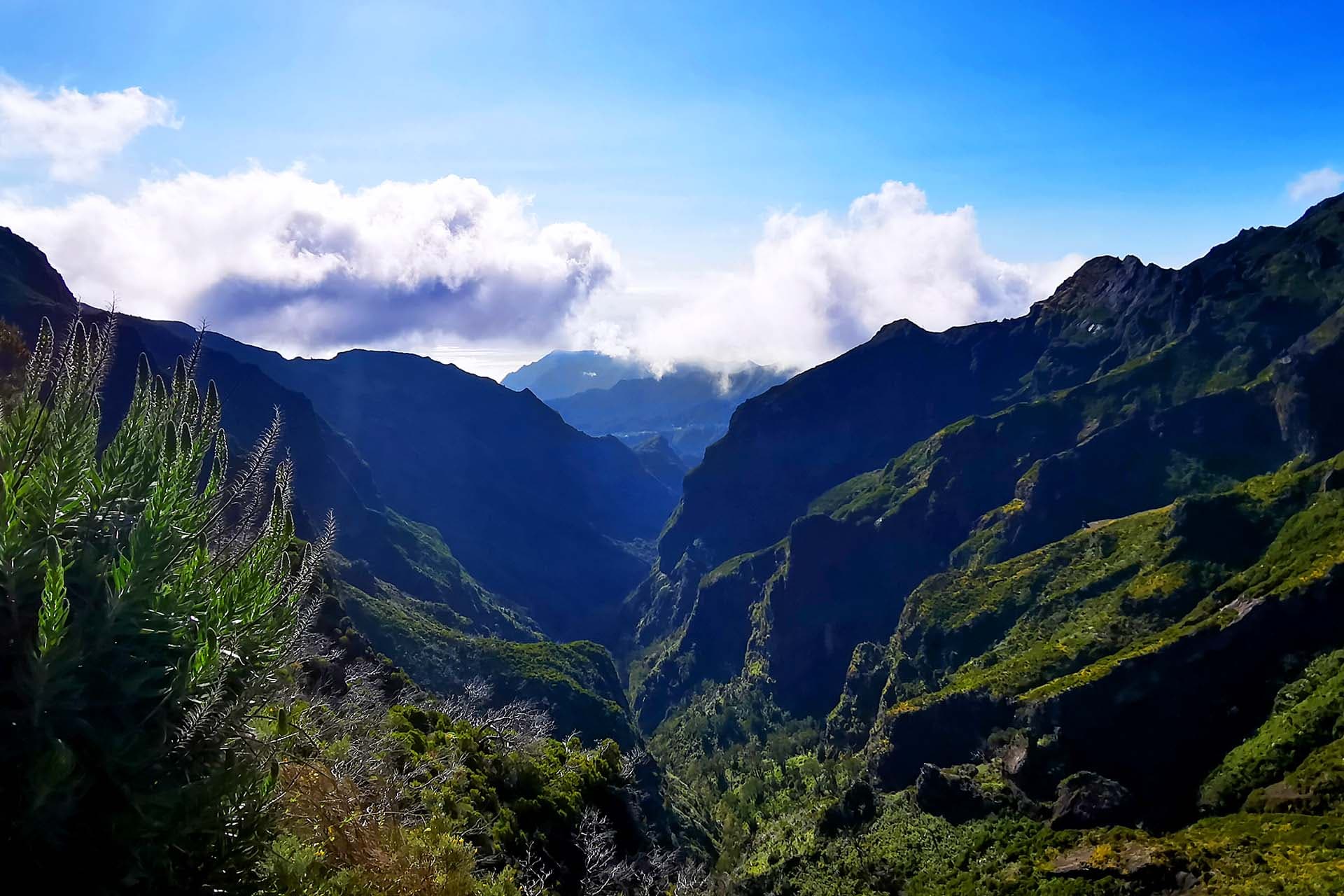 6 must-do's in Madeira🐬